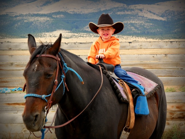 Choose Big Sky Horse Leasing