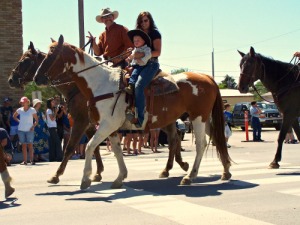 Rent a Horse for Summer - Big Sky Horse Leasing