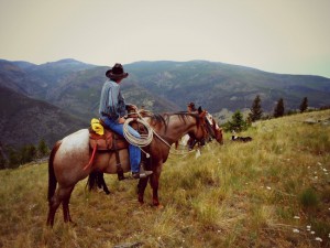 Rent Horses for Summer - Big Sky Horse Leasing